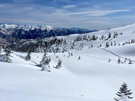 初のBCエリアへ|かぐらスキー場のクチコミ画像