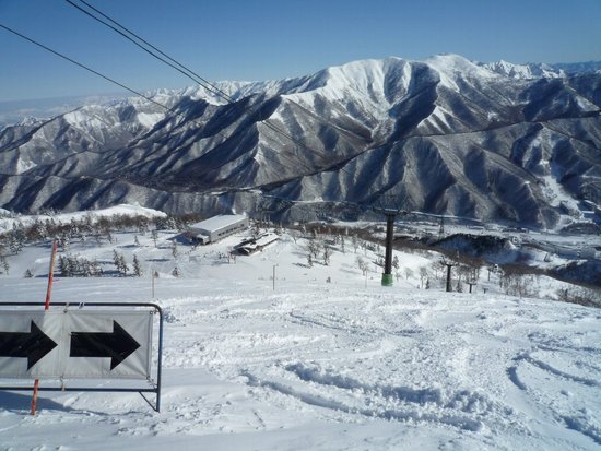 苗場は楽しい|苗場スキー場のクチコミ画像