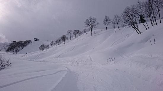 地形がおもしろい|糸魚川シーサイドバレースキー場のクチコミ画像