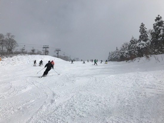 雪質は最高でした。|スキージャム勝山のクチコミ画像3