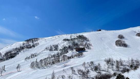 寒い・・・。|車山高原SKYPARKスキー場のクチコミ画像