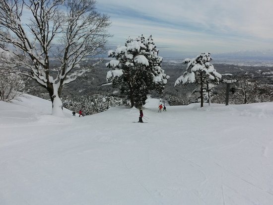 天気もコンディションも最高でした！|となみ夢の平スキー場のクチコミ画像3