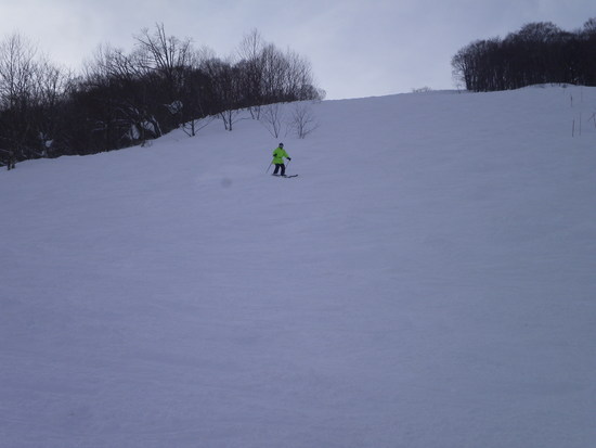 最高の雪質|白馬コルチナスキー場のクチコミ画像