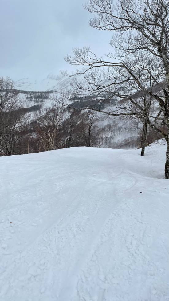 コースに不満はない。|つがいけマウンテンリゾートのクチコミ画像2