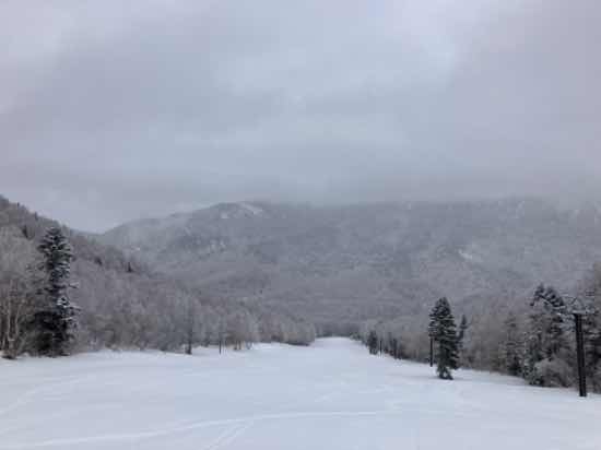 景色はみえずとも|志賀高原 焼額山スキー場のクチコミ画像