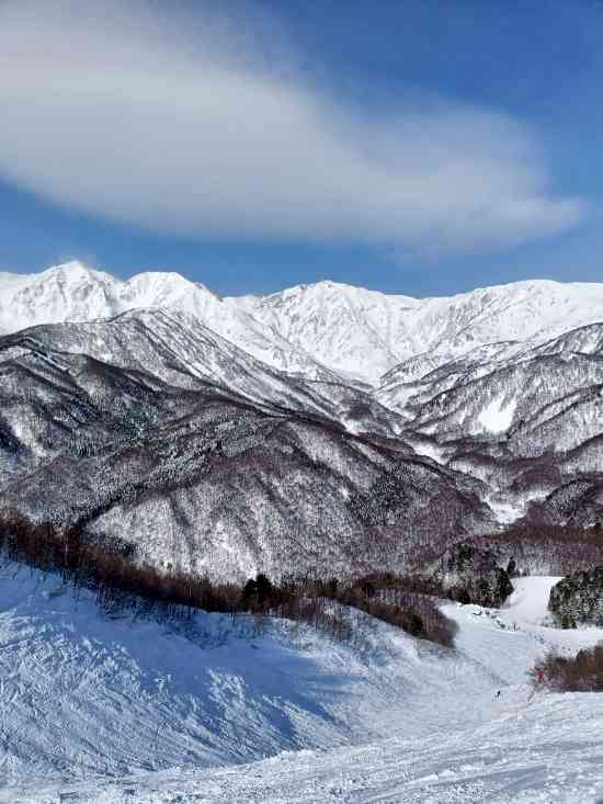 朝イチは綺麗なピステンバーン|白馬岩岳スノーフィールドのクチコミ画像2