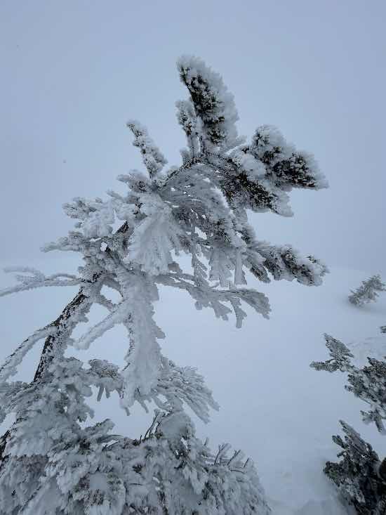 かぐらスキー場のフォトギャラリー1