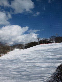 シーズンはこれから|軽井沢プリンスホテルスキー場のクチコミ画像