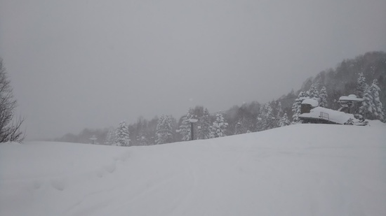 吹雪なれど楽し|志賀高原 焼額山スキー場のクチコミ画像