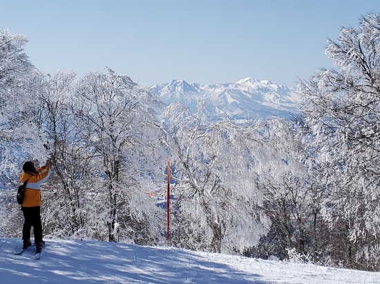 コースが多彩|野沢温泉スキー場のクチコミ画像2