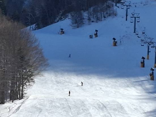 ワンダーランドかたしなレビューキャンペーン|丸沼高原スキー場のクチコミ画像