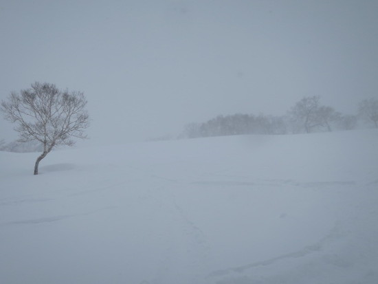 2015/01/17（土） 北海道　ニセコ・ハナゾノスキー場の速報|ニセコHANAZONOリゾートのクチコミ画像