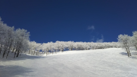 2/11 晴れれば見やすく最高|六日町八海山スキー場のクチコミ画像