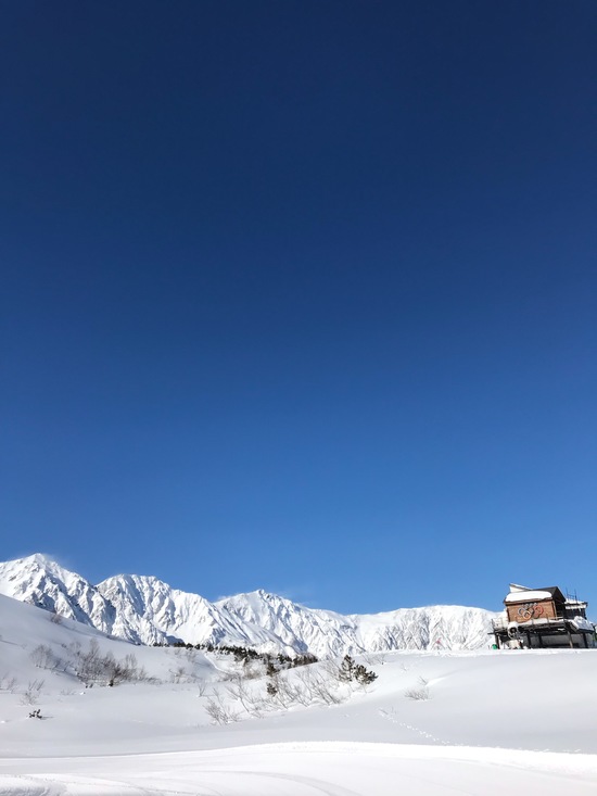 快晴！|白馬八方尾根スキー場のクチコミ画像