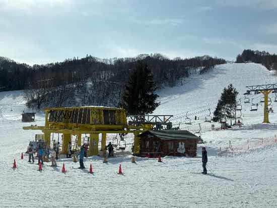 ワンダーランドかたしなレビューキャンペーン