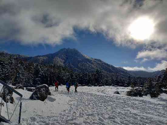 ワンダーランドかたしなレビューキャペーン