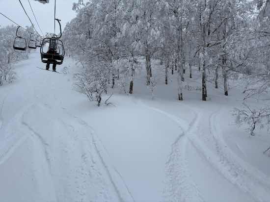 ツリーランが最高‼️|阿仁スキー場のクチコミ画像2