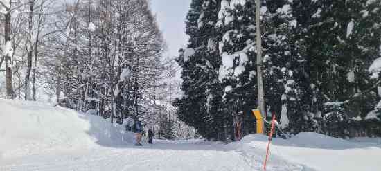 積雪多すぎ|白馬乗鞍温泉スキー場のクチコミ画像