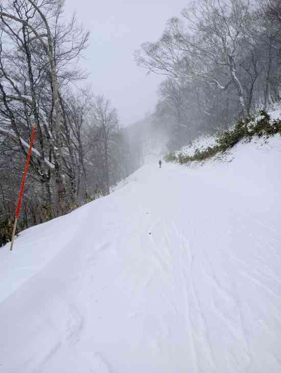 ワンダーランドかたしなレビューキャンペーン|ホワイトワールド尾瀬岩鞍のクチコミ画像