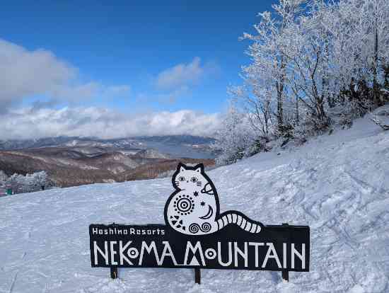 星野リゾート ネコマ マウンテン(旧アルツ磐梯＆猫魔スキー場）のフォトギャラリー2