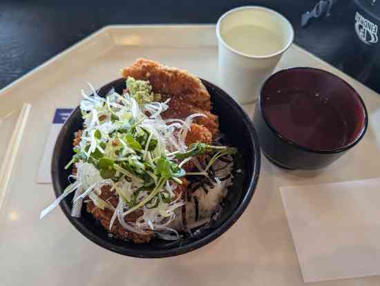 ツリーランコースが楽しい|星野リゾート ネコマ マウンテン(旧アルツ磐梯＆猫魔スキー場…のクチコミ画像2