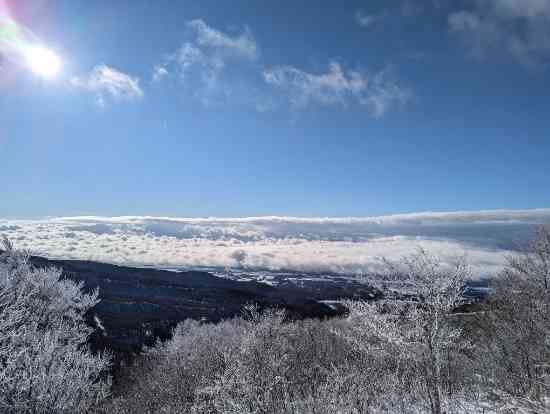 ツリーランコースが楽しい|星野リゾート ネコマ マウンテン(旧アルツ磐梯＆猫魔スキー場…のクチコミ画像3