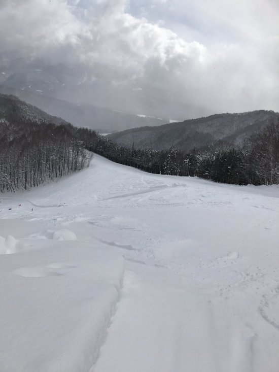 雪質最高でした|かたしな高原スキー場のクチコミ画像