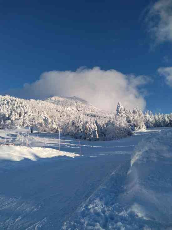 ワンダーランドかたしなレビューキャンペーン