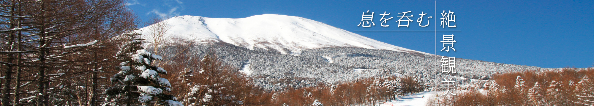 みなかみスキーエリア個性豊かな9つのスキー場から選べる