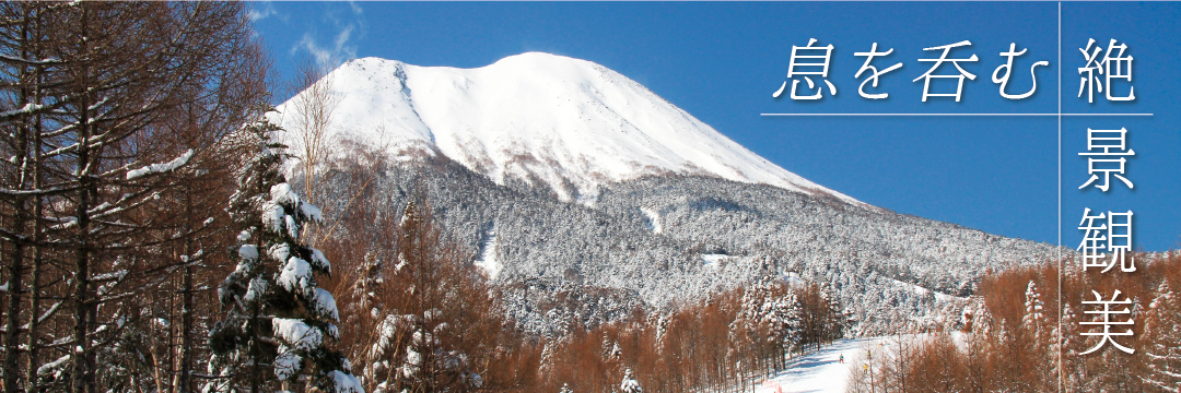 みなかみスキーエリア個性豊かな9つのスキー場から選べる