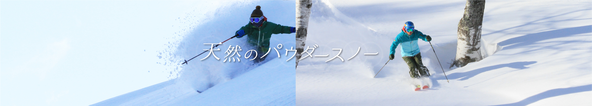 雪質抜群のパウダースノーが楽しめる
