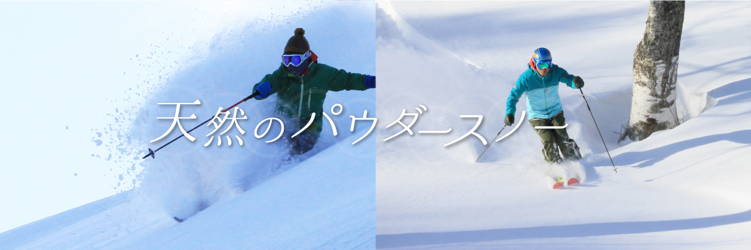 雪質抜群のパウダースノーが楽しめる