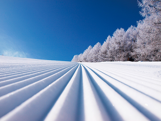やぶはら高原スキー場 01